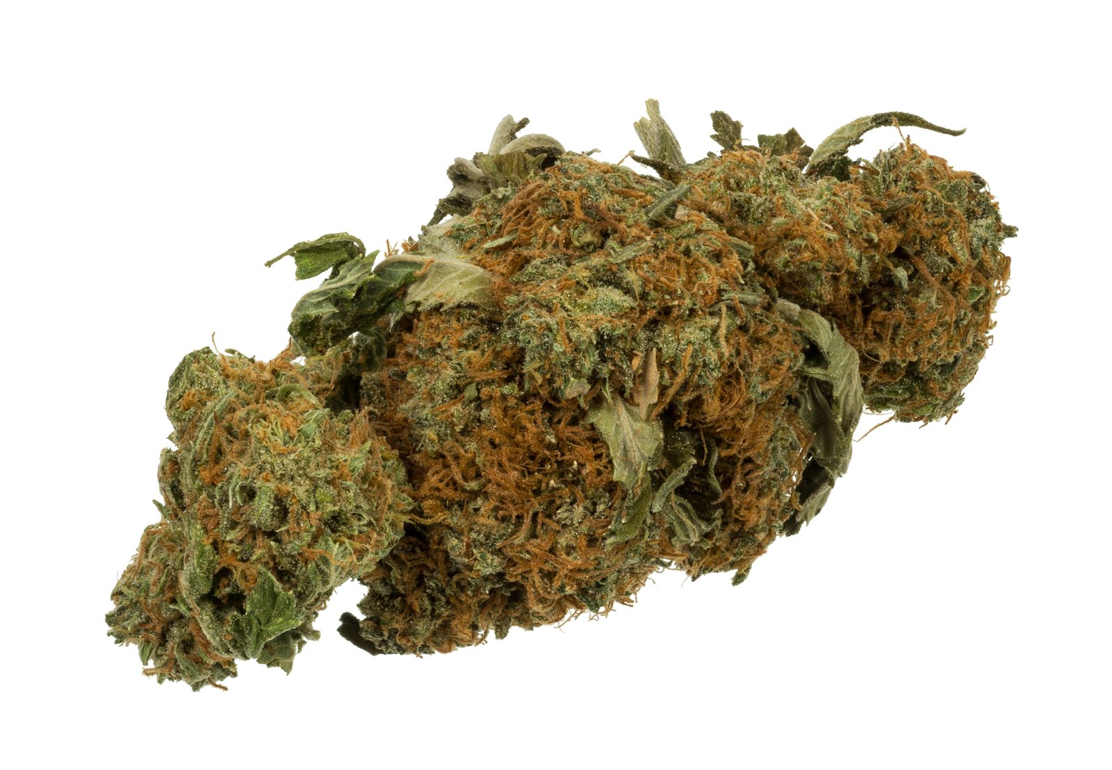 Premium cannabis buds